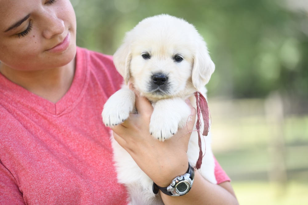 Piper's 5 week old Miss Pink