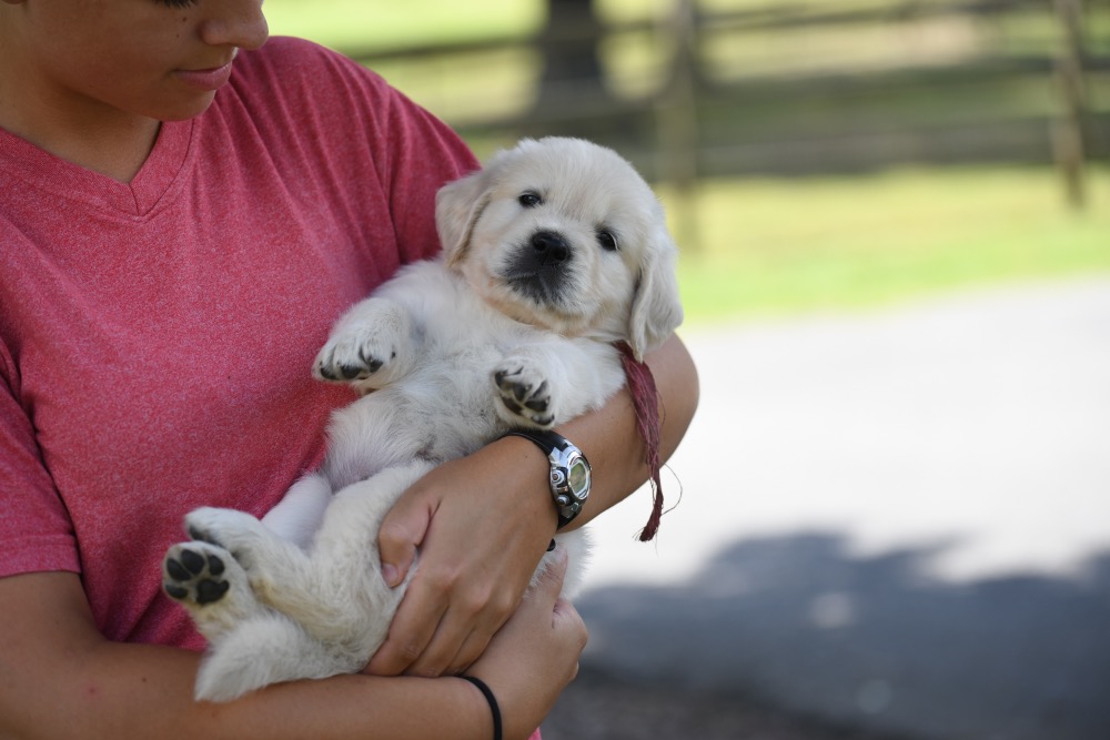 Piper's 5 week old Miss Pink