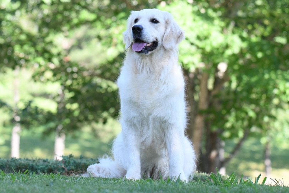 Sydney Smiling in a Sit