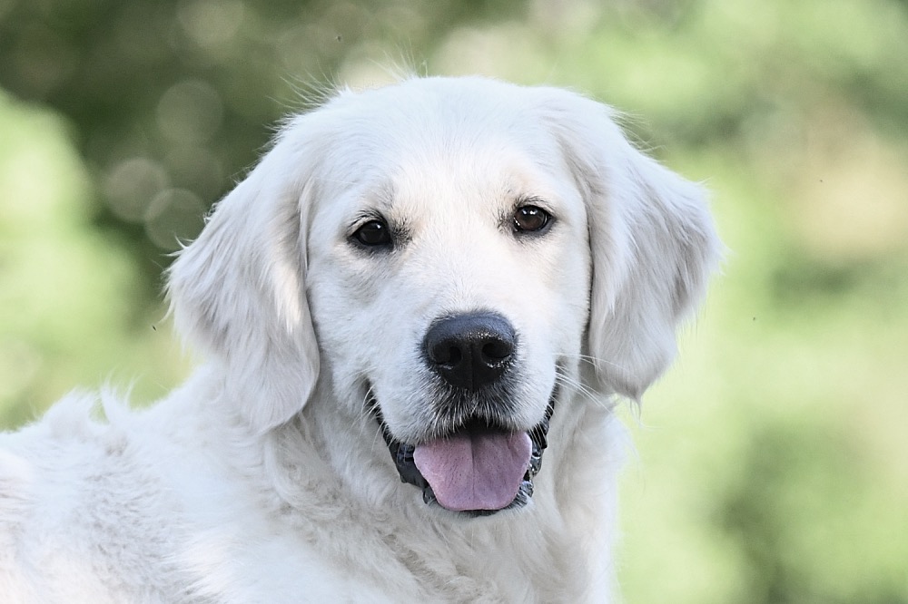 Sydney Smiling Head Shot