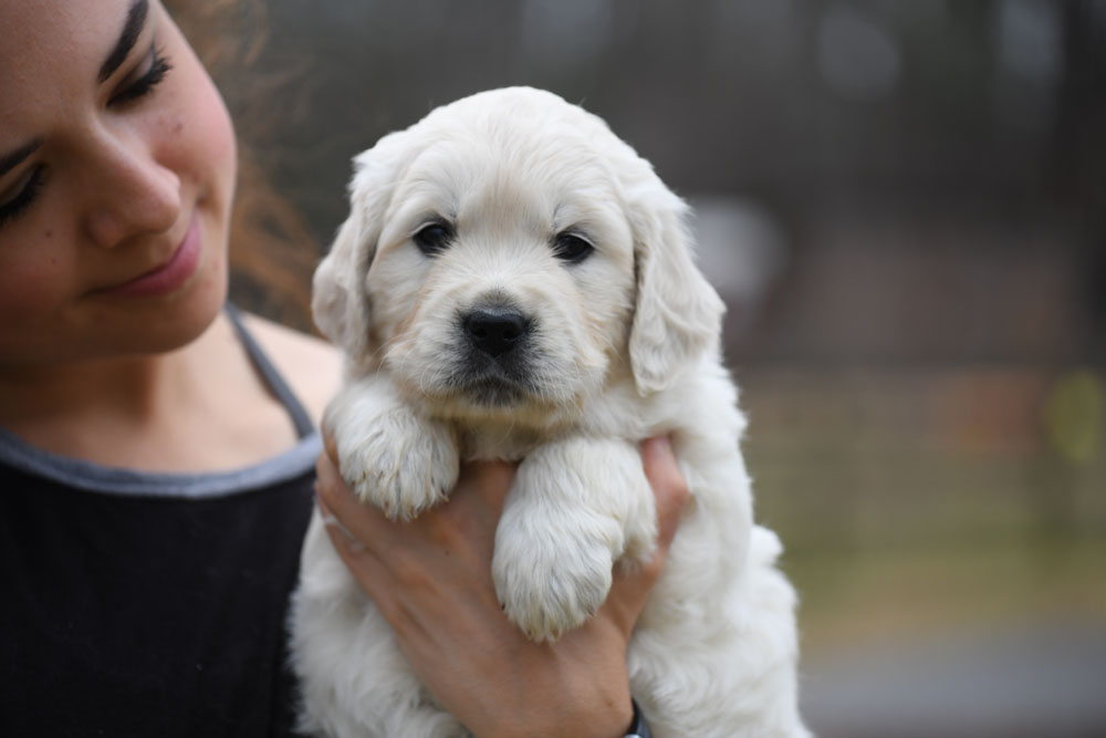London's 5 Week Old Miss Purple